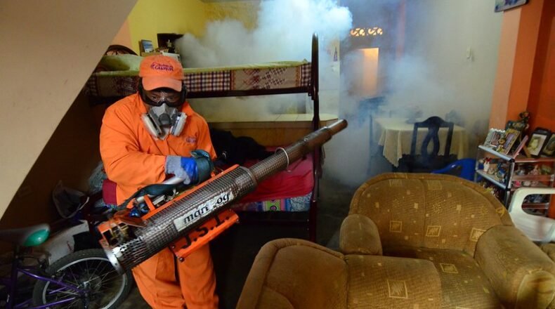 eliminar hormigas casa