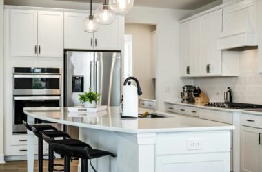 heces cucaracha cocina